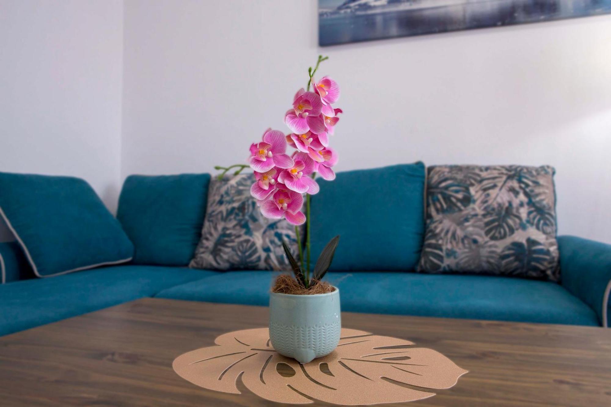 Apartament Casa Del Durmitor Žabljak Zewnętrze zdjęcie